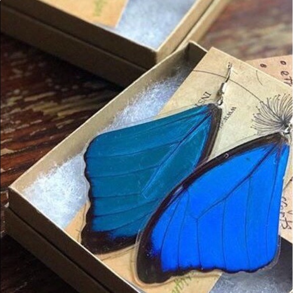 Dolls Kill Jewelry - New Dolls Kill Blue Butterfly Earrings (Real)